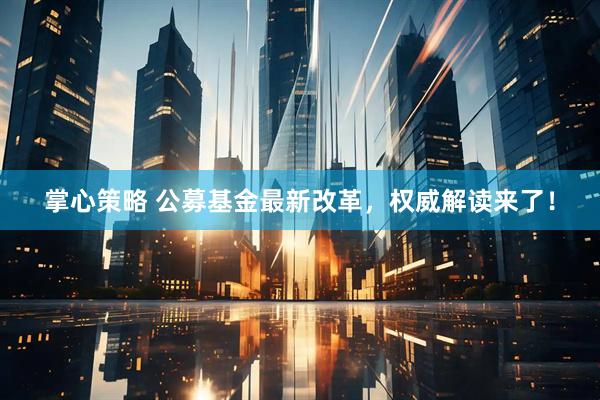 掌心策略 公募基金最新改革，权威解读来了！