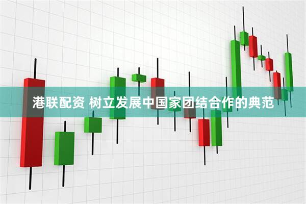 港联配资 树立发展中国家团结合作的典范