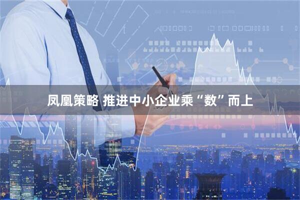 凤凰策略 推进中小企业乘“数”而上