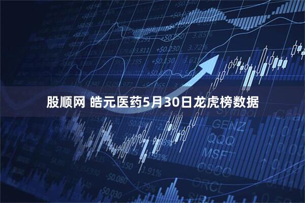 股顺网 皓元医药5月30日龙虎榜数据