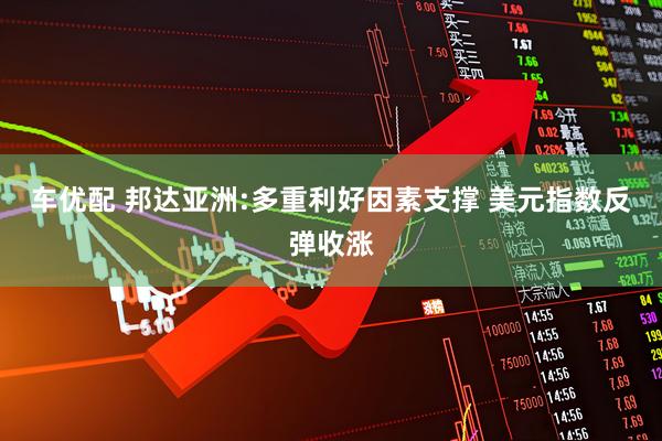 车优配 邦达亚洲:多重利好因素支撑 美元指数反弹收涨