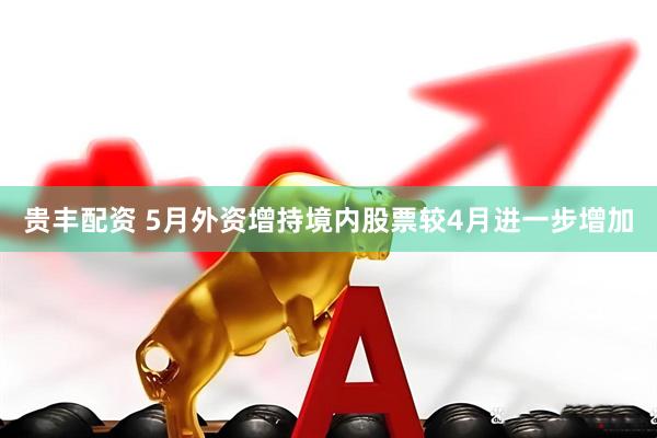 贵丰配资 5月外资增持境内股票较4月进一步增加