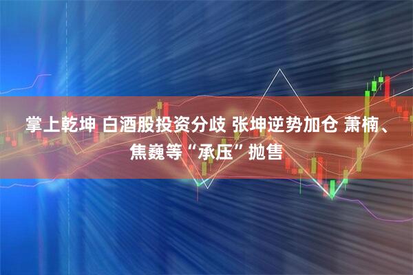 掌上乾坤 白酒股投资分歧 张坤逆势加仓 萧楠、焦巍等“承压”抛售