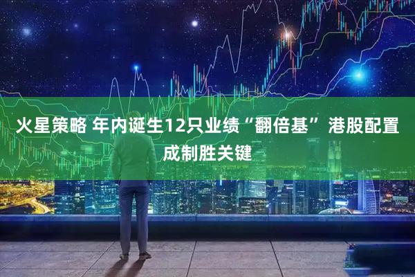火星策略 年内诞生12只业绩“翻倍基” 港股配置成制胜关键