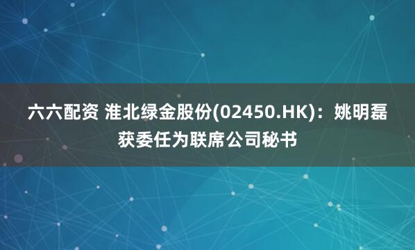 六六配资 淮北绿金股份(02450.HK)：姚明磊获委任为联席公司秘书