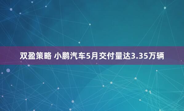 双盈策略 小鹏汽车5月交付量达3.35万辆