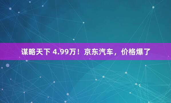 谋略天下 4.99万！京东汽车，价格爆了