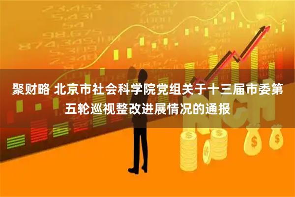 聚财略 北京市社会科学院党组关于十三届市委第五轮巡视整改进展情况的通报