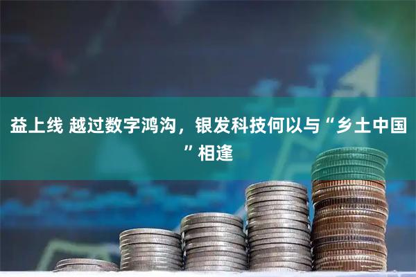 益上线 越过数字鸿沟，银发科技何以与“乡土中国”相逢