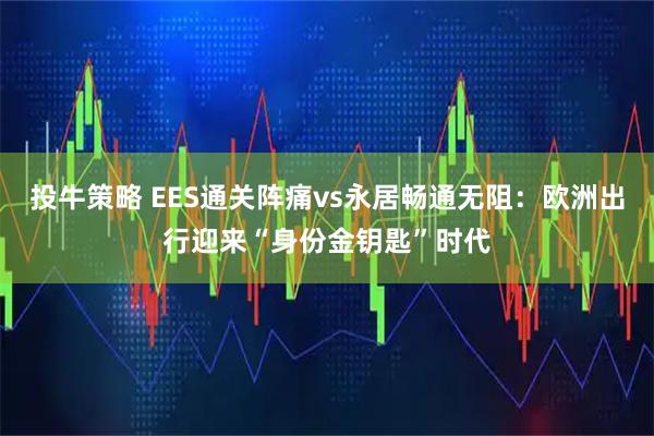 投牛策略 EES通关阵痛vs永居畅通无阻：欧洲出行迎来“身份金钥匙”时代