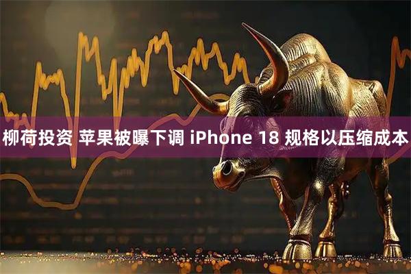 柳荷投资 苹果被曝下调 iPhone 18 规格以压缩成本